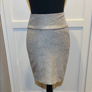 Decree Shimmering Silver Pencil Skirt Size M